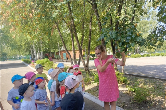 Наблюдения на прогулке.
