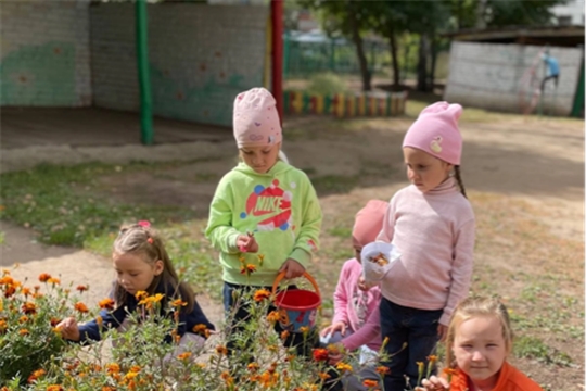 06.09.2023 "Собираем семена"