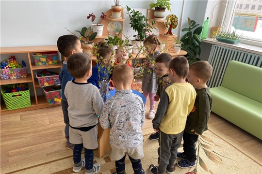 19.03.2024 "Наблюдение за распускающимися веточкам"