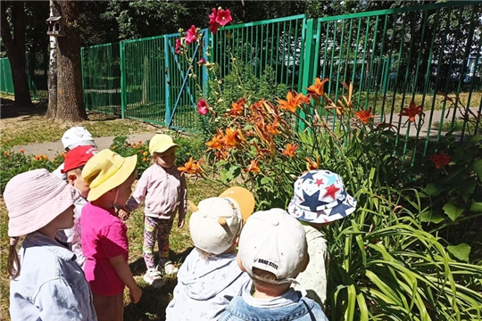 12.07.2024 "Наблюдение за цветами"