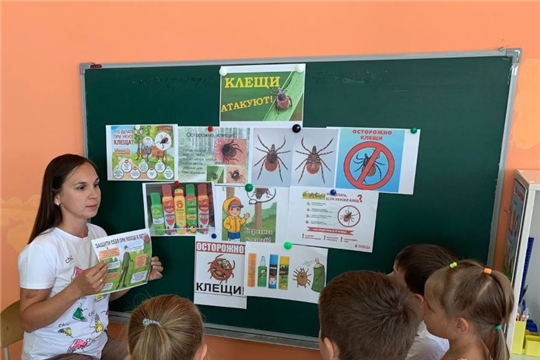 Осторожно, клещ!