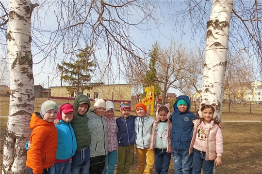 День березы