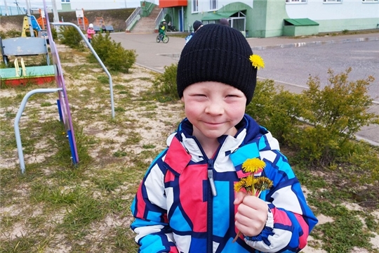Одуванчик полевой