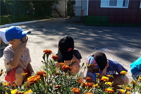 Изучаем и познаем