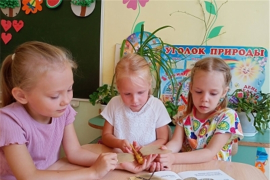Опасные насекомые