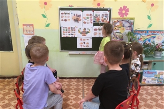 Полезная и вредная еда