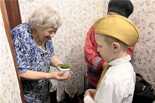 Цветок ветерану
