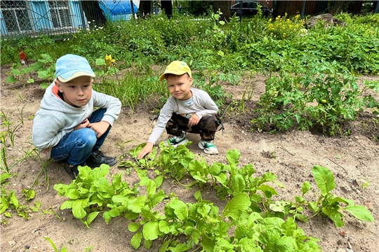 Огородные дела ТУРИСТиКО