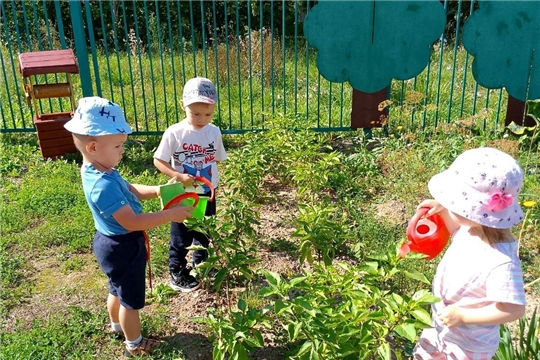 Во саду и огороде