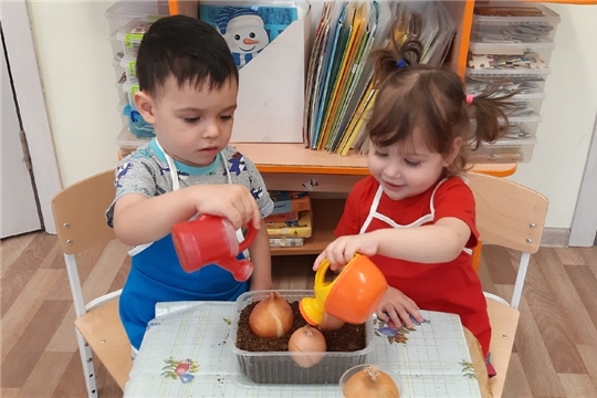 Витамины на подоконнике