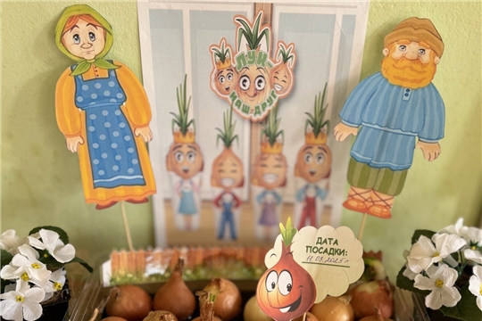 Мы сажаем лук