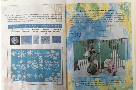 Замеряем высоту сугробов на остановке "Весенняя капель" проекта "Туристико"