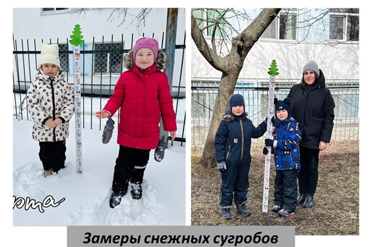 Юные натуралисты продолжают наблюдения