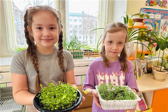 Польза зелени