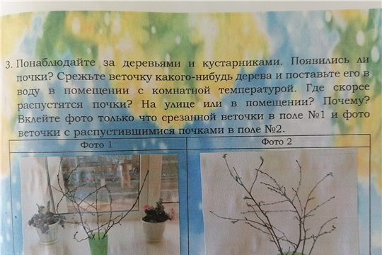 "Туристико" развивает экологические маршруты