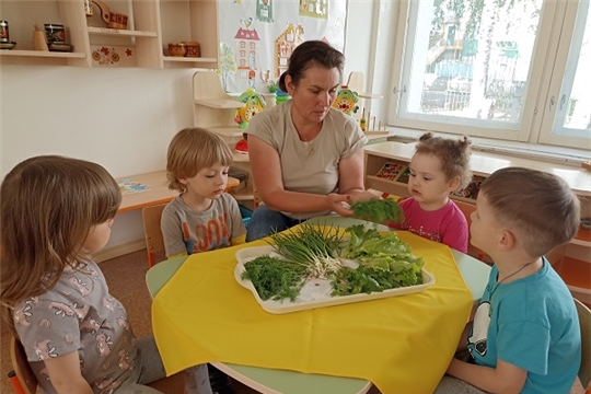  «Зеленые витамины в меню»