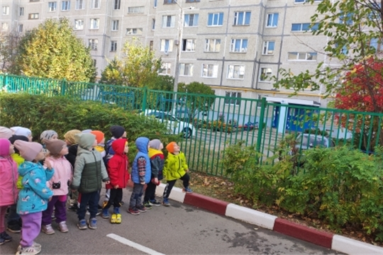 Наблюдение за природой