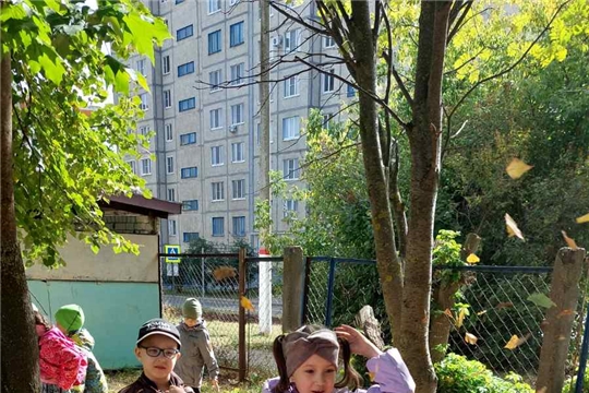 Осень в гости к нам пришла