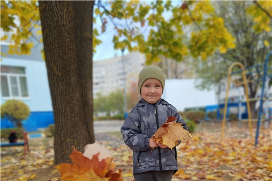 Золотая пора