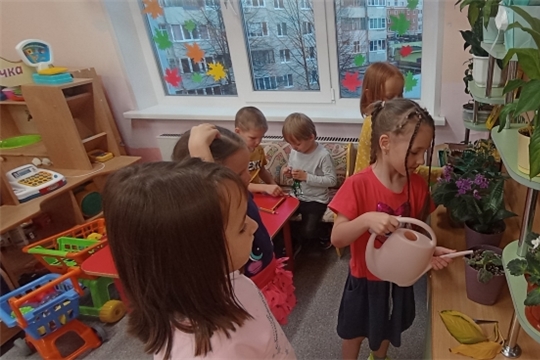 Уход за комнатными растениями