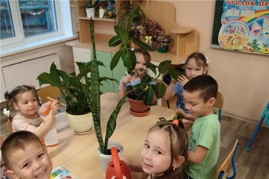 Уход за комнатными растениями