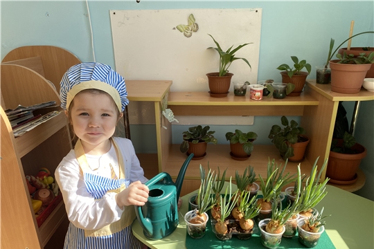 Огород на подоконнике