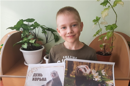 День хорька