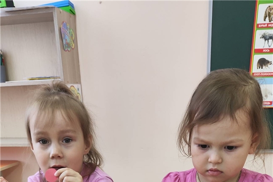 Домики для пернатых друзей