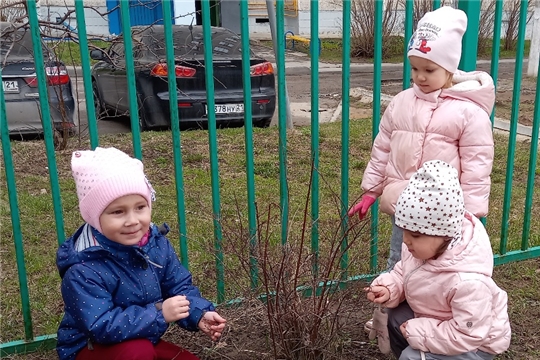 Экологическое воспитание