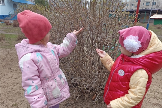 Весенние наблюдения