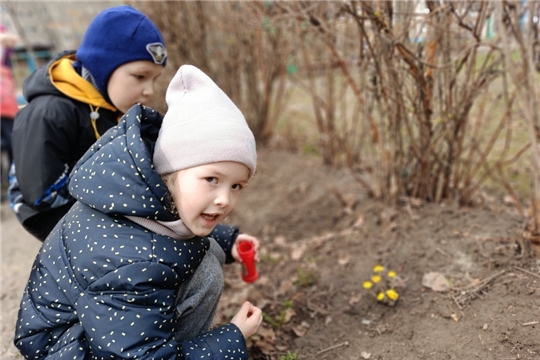 Наблюдение в природе