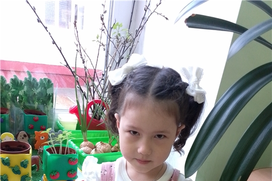 Польза зелёного лука