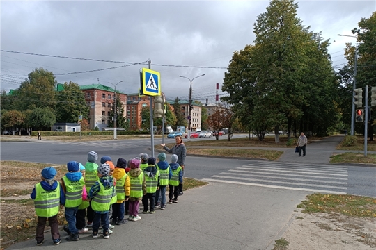 Дорожные знаки знаю, смело по улице шагаю