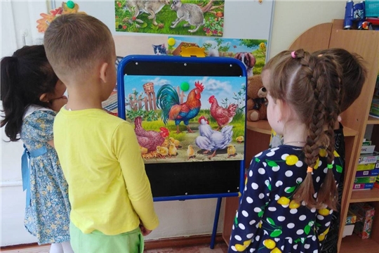 Всемирный День защиты животных