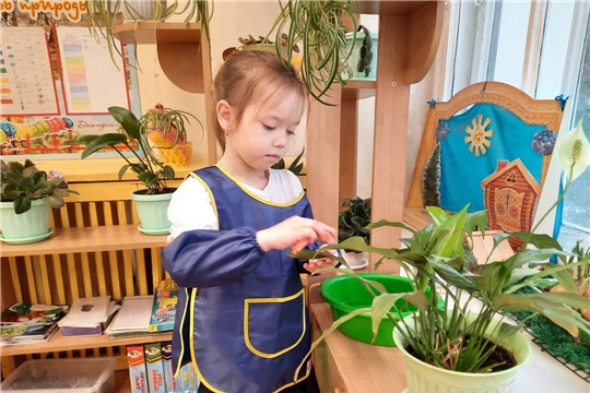 Дежурство по уголку природы 