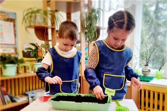 Готовимся к огородному сезону!