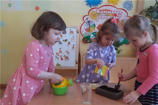 Чудо огород на окошке растет