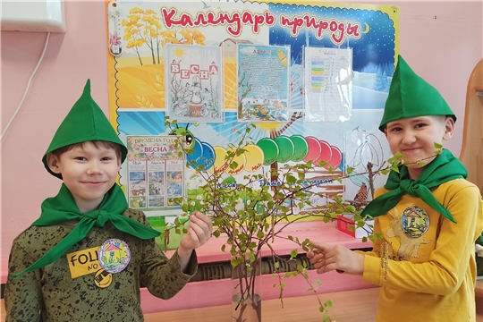 Экспериментально–исследовательская деятельность