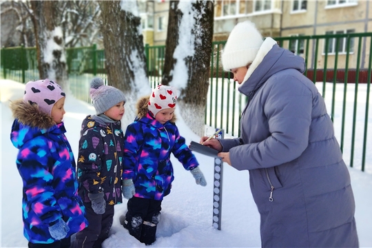 Юные натуралисты. Измерение глубины снега