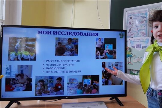 Защита  детских проектов "Эколята - друзья природы". Герасимова Настя