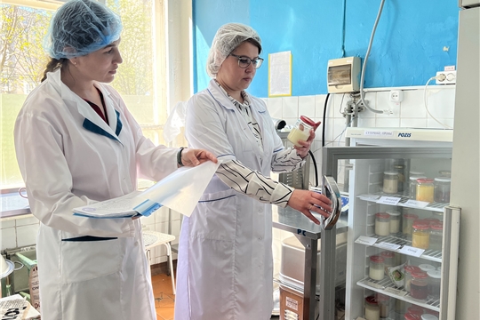 Административный контроль по организации питания в детском саду