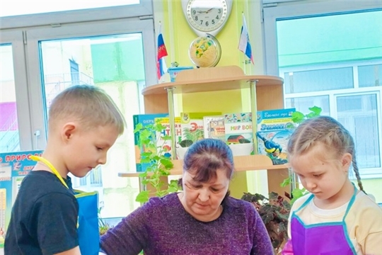 Посадка лука в детском саду