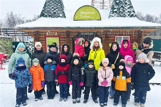 Зооуголок "Ковчег"