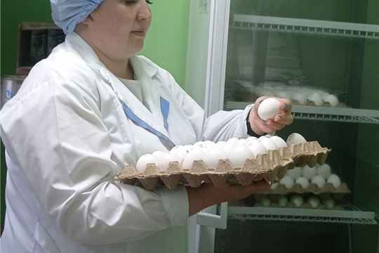 Контроль качества питания