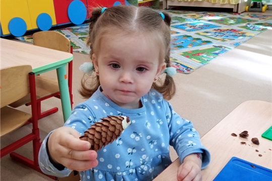 Детский сад без слёз