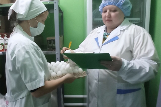 Контроль качества питания