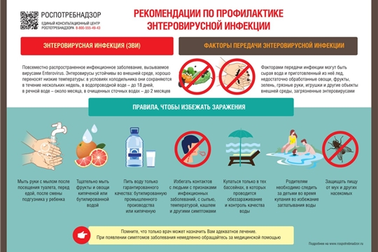  Управление Роспотребнадзора по Чувашской Республике - Чувашии напоминает о профилактике энтеровирусных инфекций в летний период