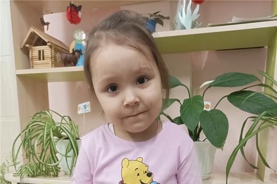 Всё о пользе лука