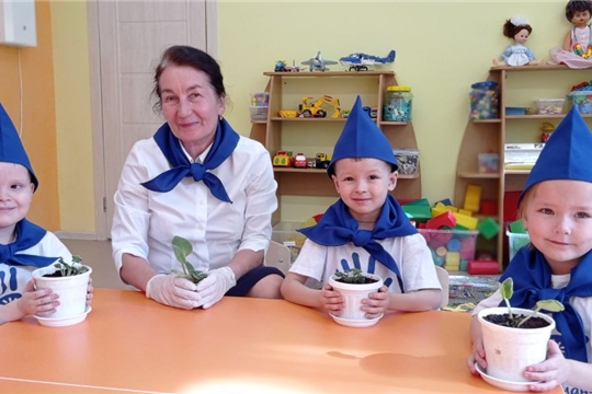  Цветок ветерану