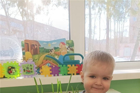 Все о пользе перьевого (или зеленого) лука